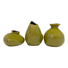 Load image into Gallery viewer, Ava Bud Vase - Shape May Vary
