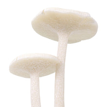 Load image into Gallery viewer, Enoki Mushroom Statuary
