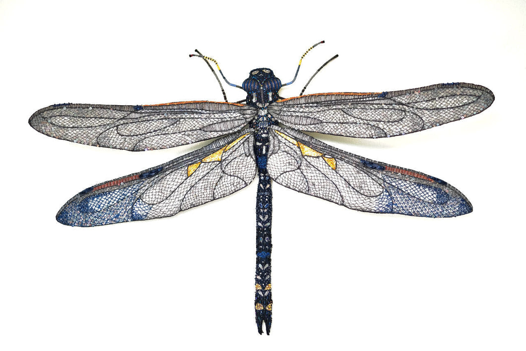 Blue Dragonfly - Object Art