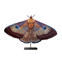 Load image into Gallery viewer, Giant Silk Moth - Object Art
