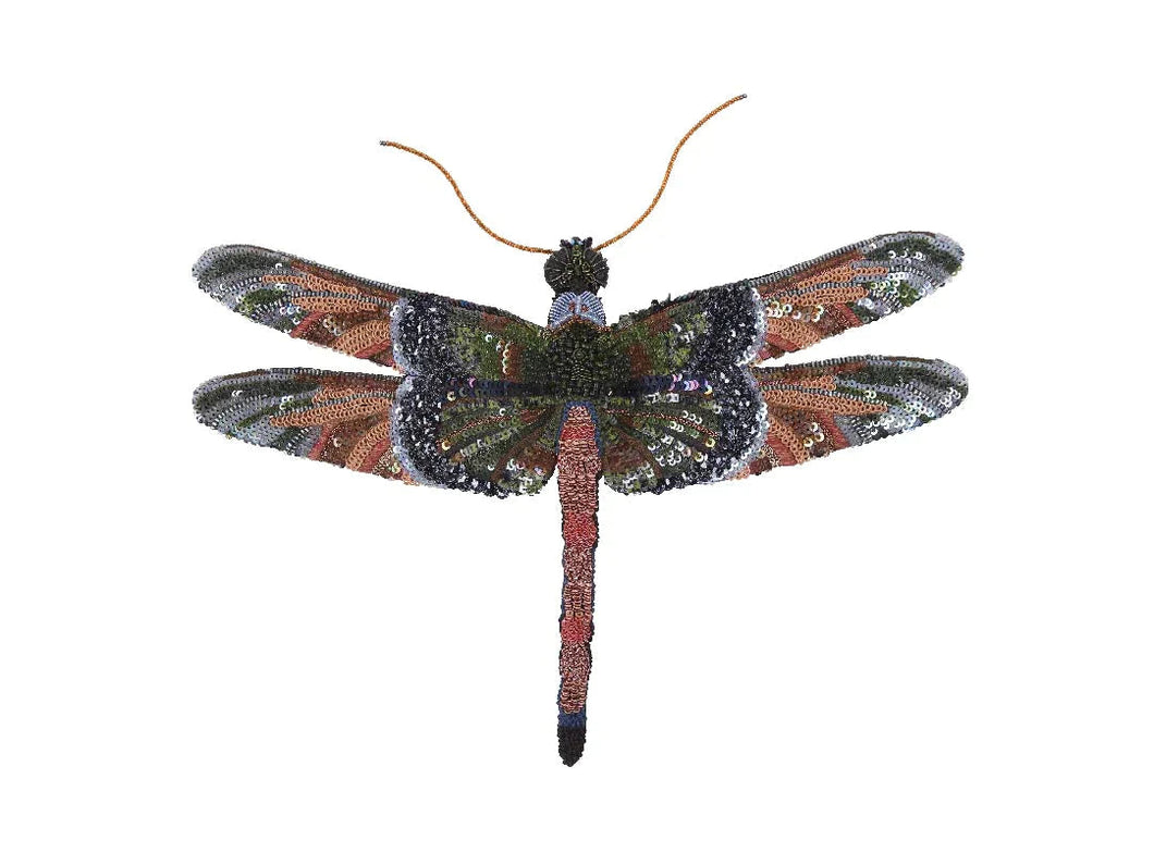 Spangled Dragonfly - Object Art