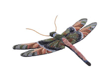 Load image into Gallery viewer, Spangled Dragonfly - Object Art
