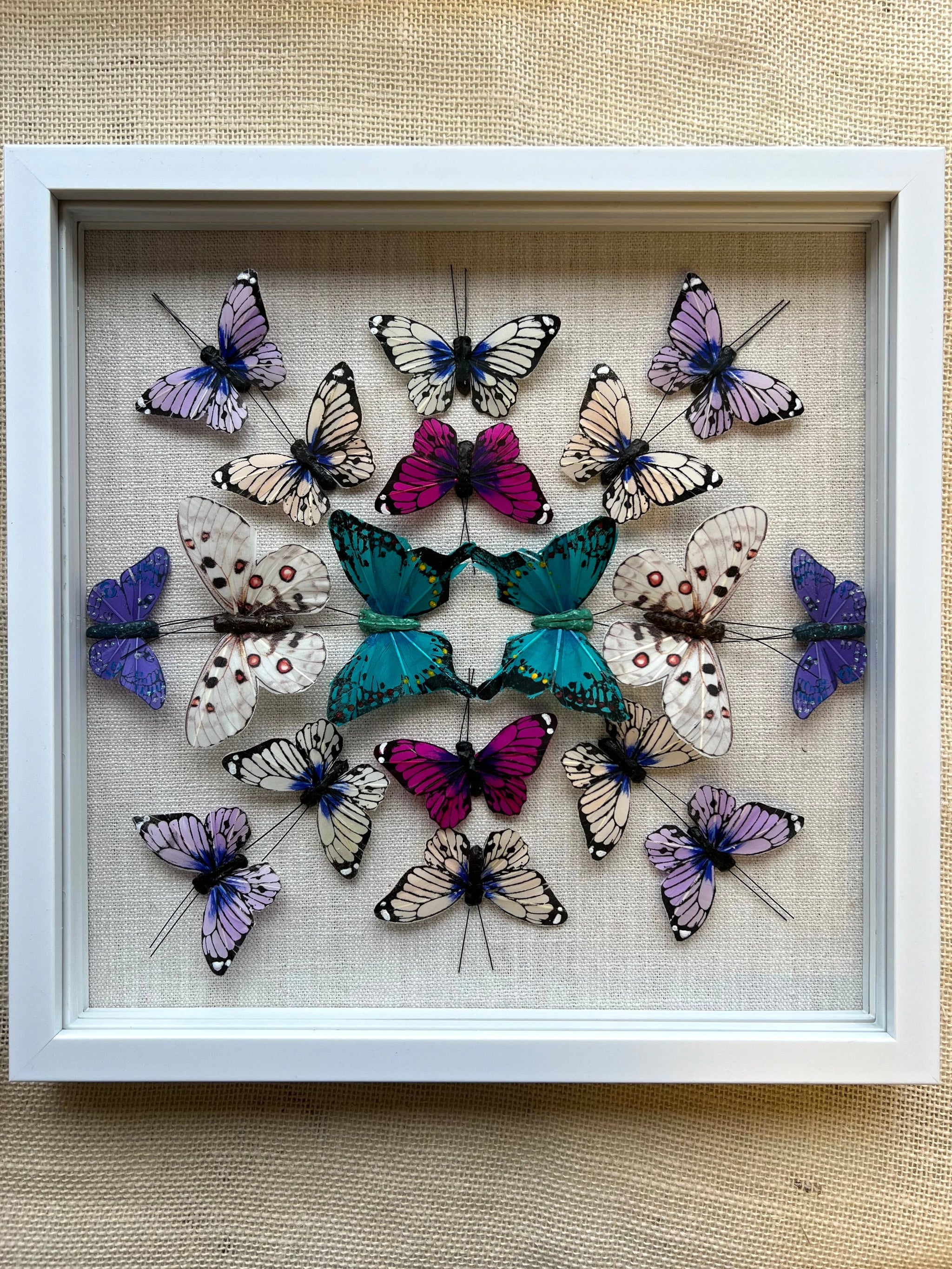 Butterfly Shadowbox shops